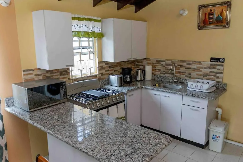Charming Deluxe 2 Bedroom Home Montego Bay